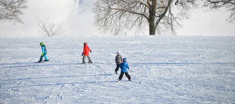 beginners skiing down a small hill beginners skiing down a small hill