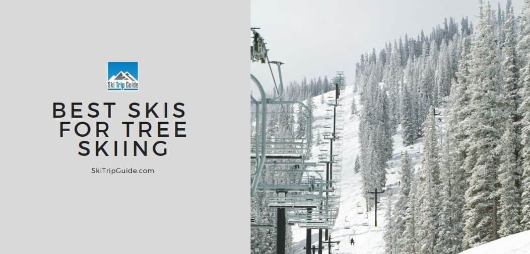 best skis for tree skiing